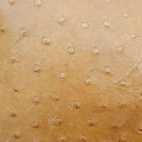 Dooney & Bourke Ostrich Embossed Leather Tote Bag – Read Description - Picture 5 of 14